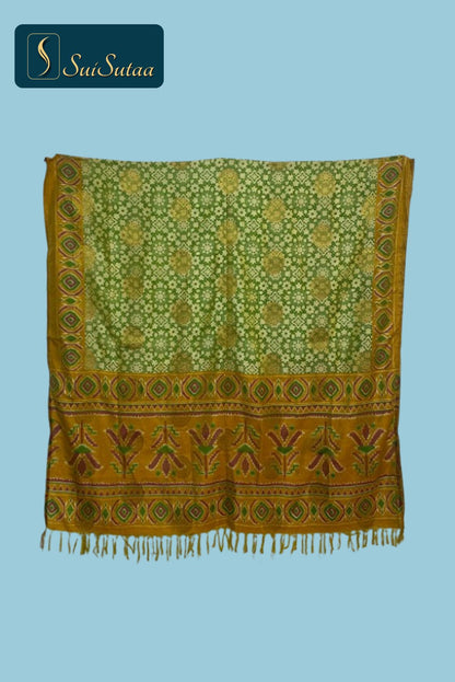 Patola silk